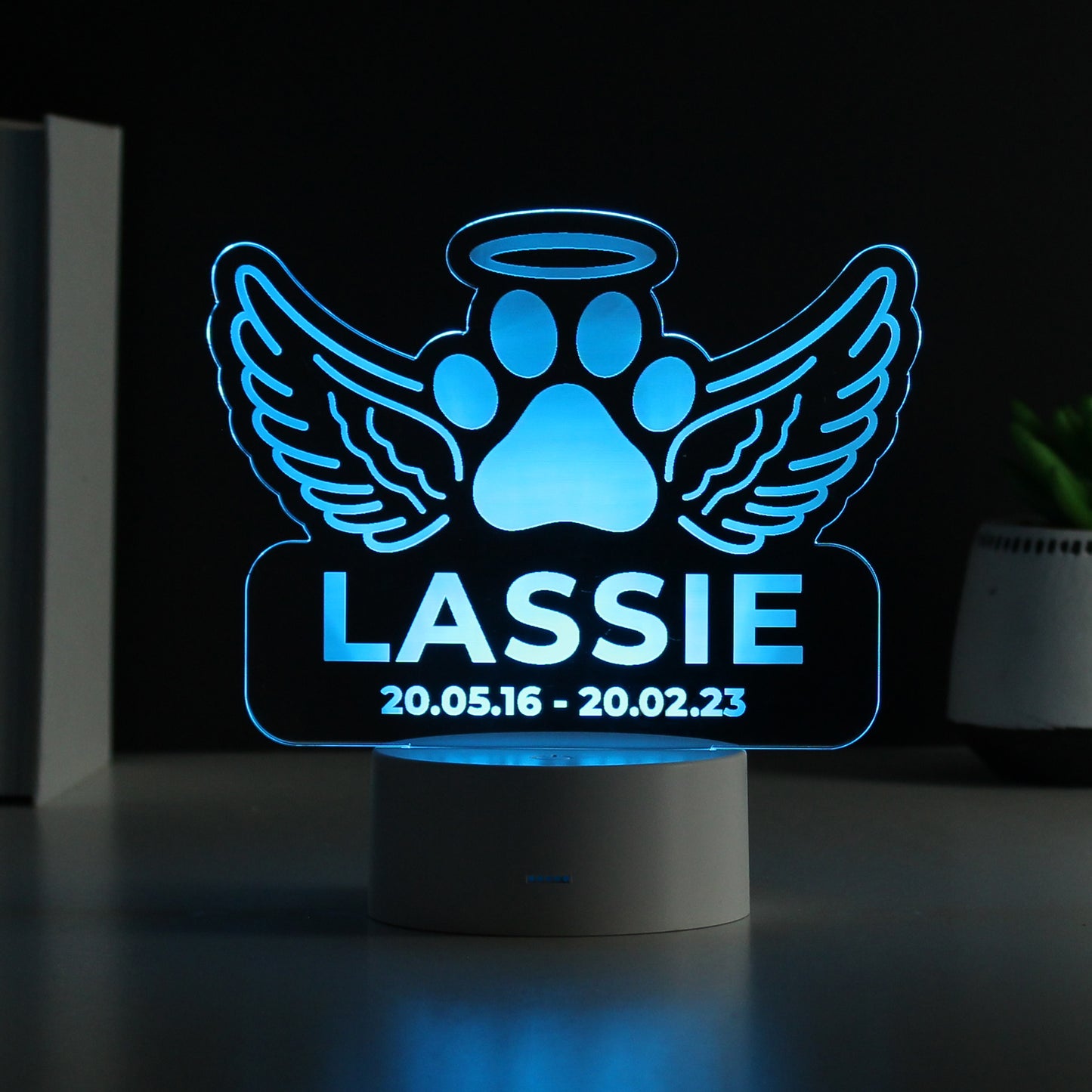 Personalised Pet Memorial Colour Changing LED Light