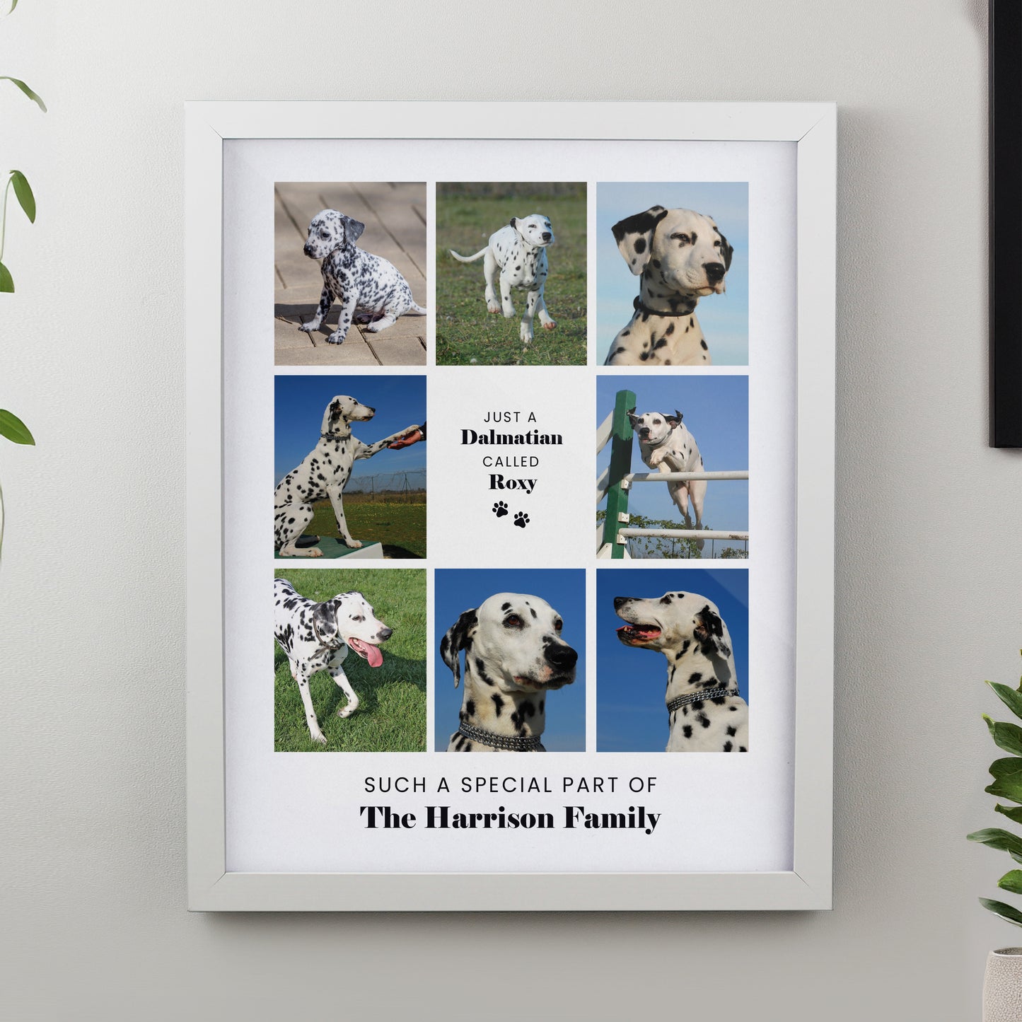 Personalised Pet Multi Photo Upload White Framed Print