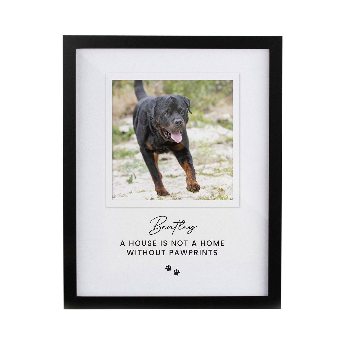 Personalised Pet Photo Upload Black Framed Print