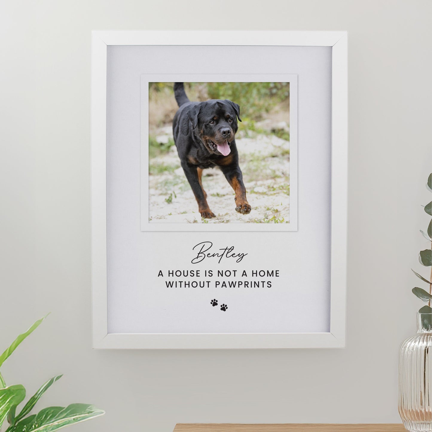 Personalised Pet Photo Upload White Framed Print