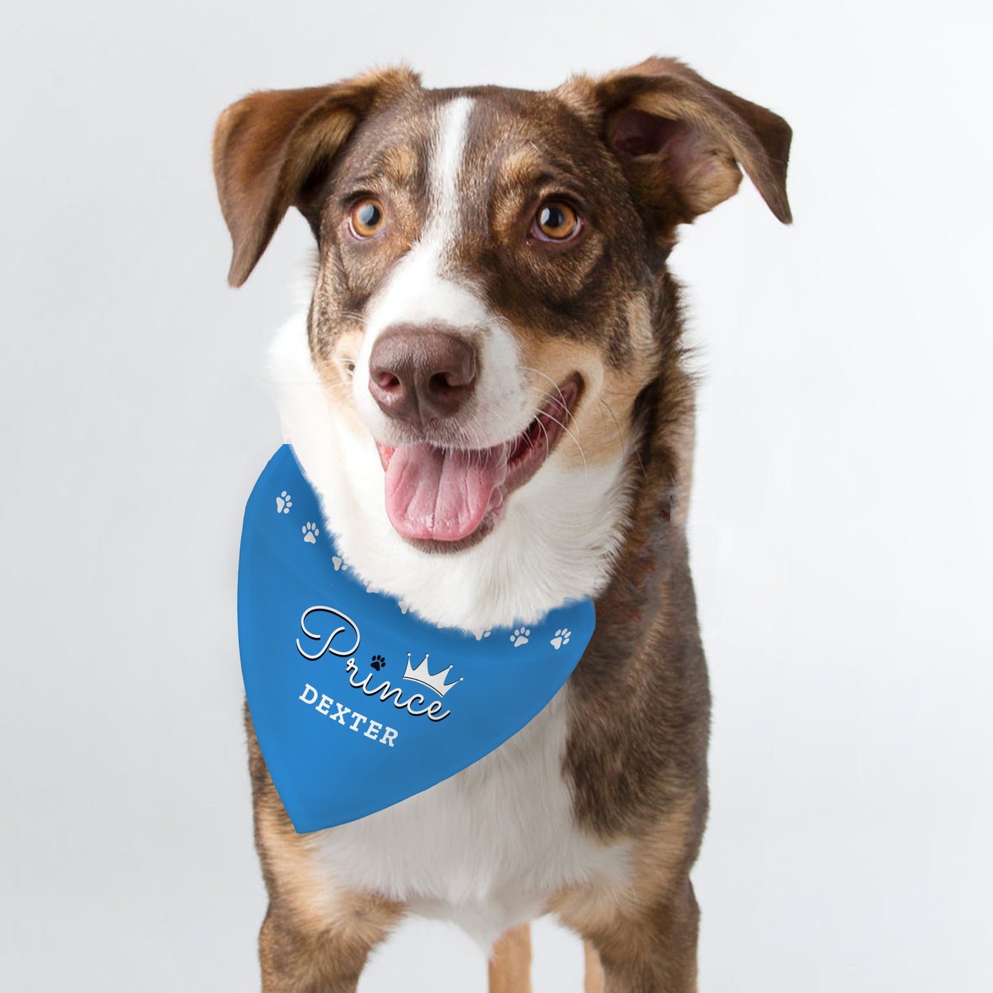 Personalised Prince Dog Bandana