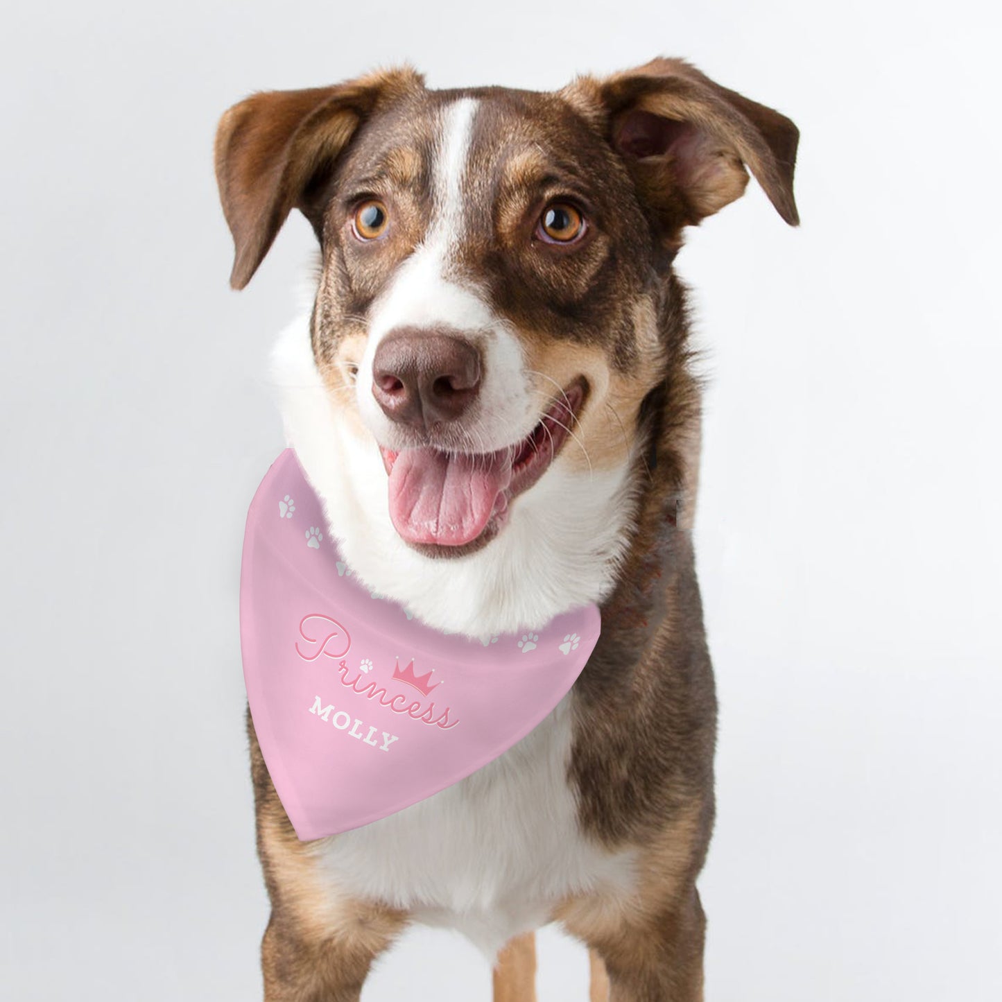 Personalised Princess Dog Bandana