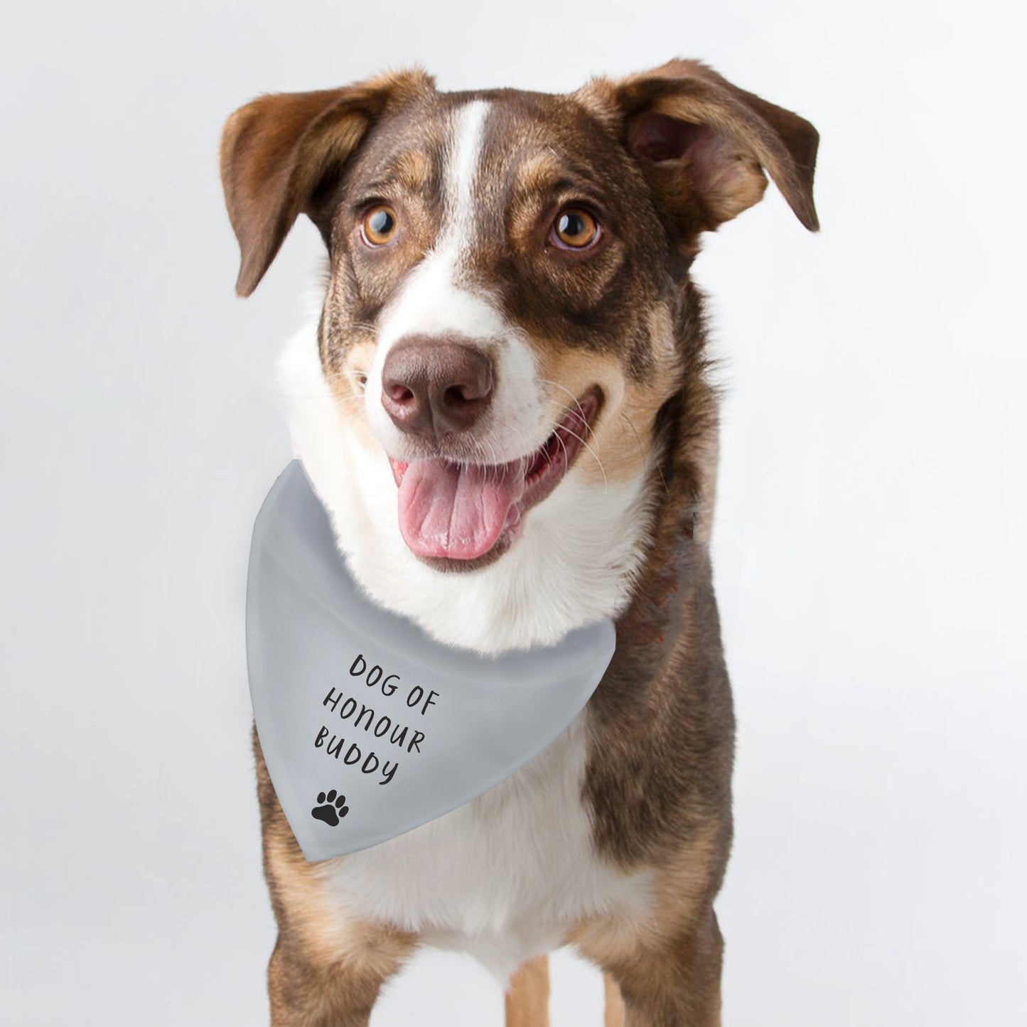 Personalised Dog Bandana