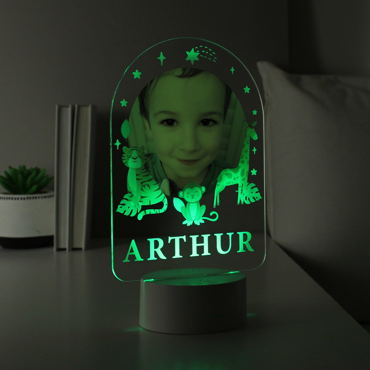 Personalised Animal Photo Upload LED Colour Changing Night Light